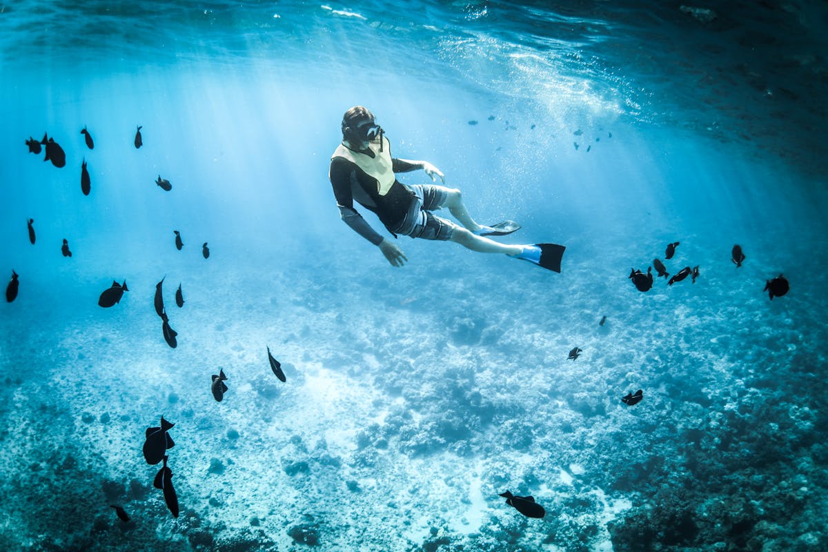 Diving and Snorkeling