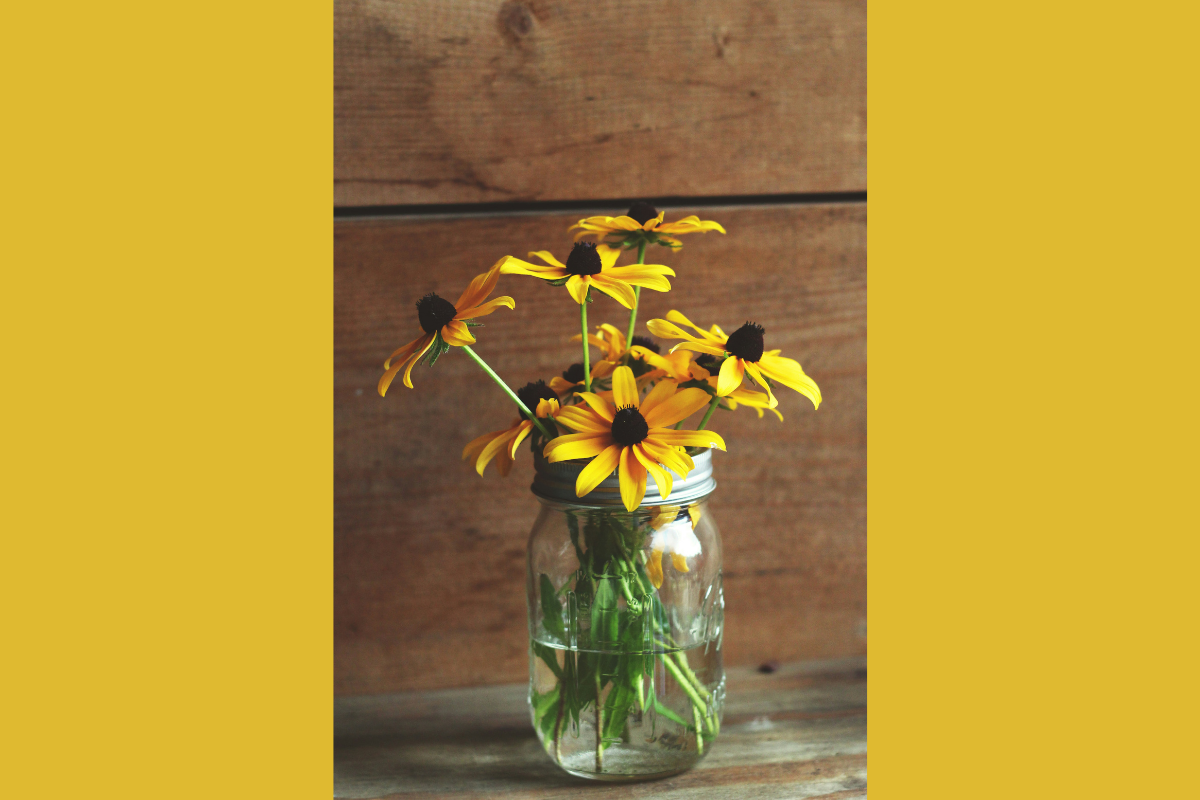 How to Make Cut Flowers Last Longer: Expert Tips for Fresh Blooms