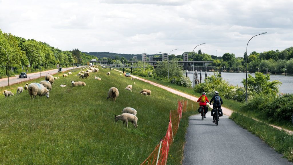 The Secret to Booking Stress-Free Multi-City Trips